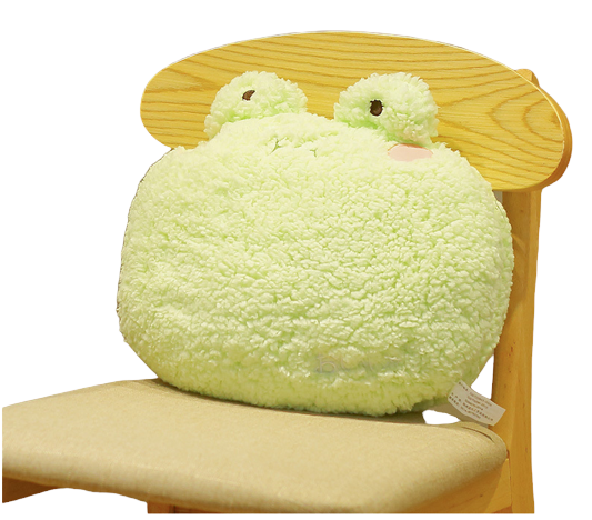 Frog Pillow